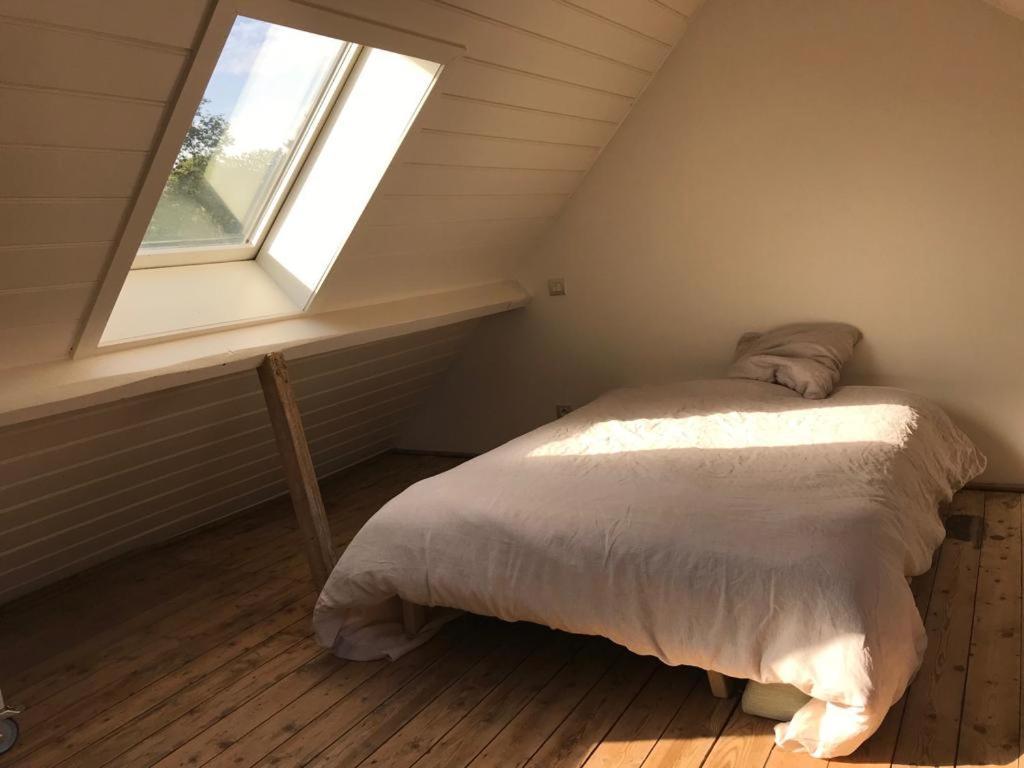 Studio Minerva Antwerpia Zewnętrze zdjęcie